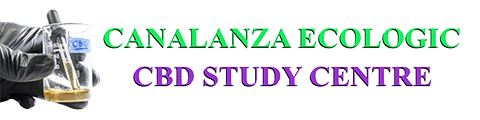 Canalanza-CBD-STUDY-CENTRE mediana